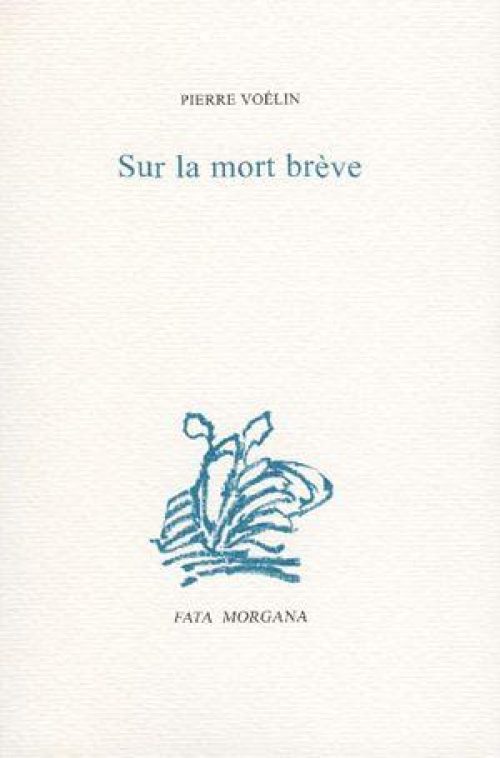 Sur la mort brève