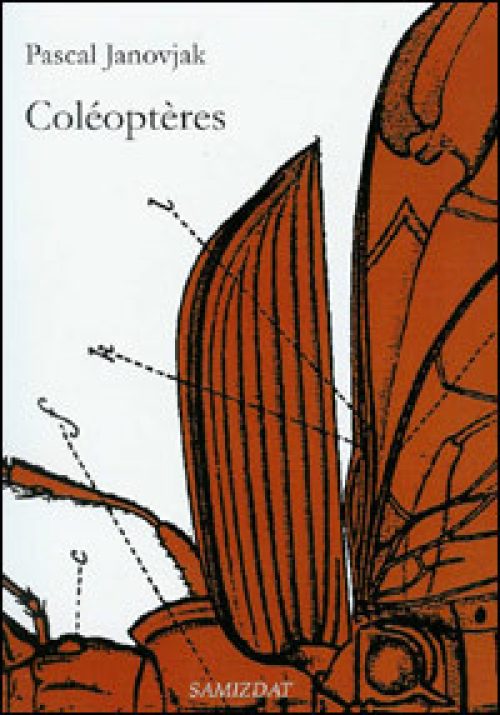 Coléoptères