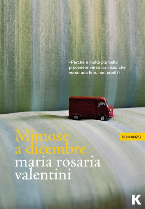 Mimose a dicembre