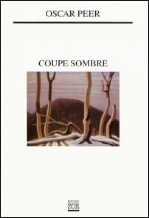 Coupe sombre [Accord]