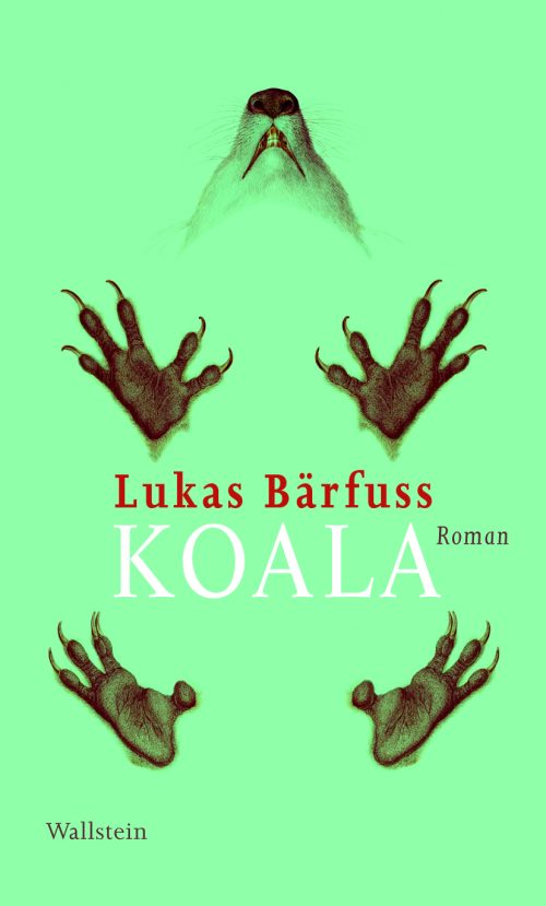 Koala
