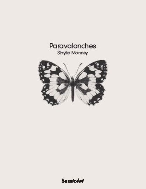 Paravalanches