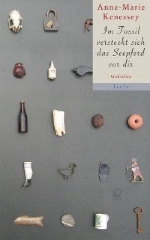 Im Fossil versteckt sich das Seepferd vor dir